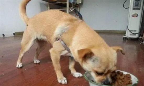Ϊʲôι