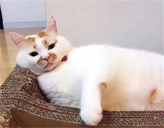 ʺϴļè̫Ǯˣ