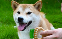 ëҪ೤ʱ