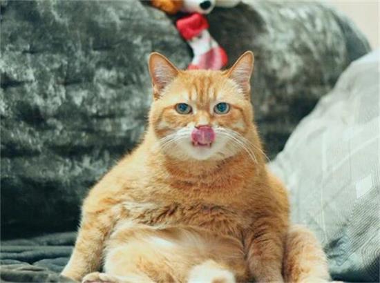 èдʲô