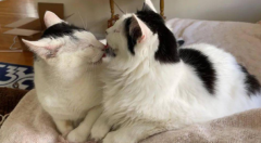 èëʲô˼