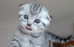 ôжèûз