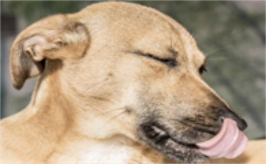 ԹͷƳʲô֢״