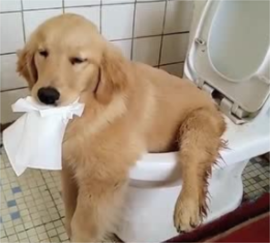 سʲô