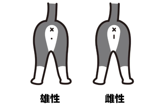 èճôֱ湫ĸ