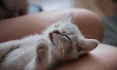 èӰˮ
