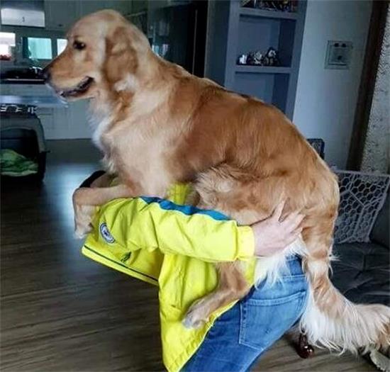 ëӦô