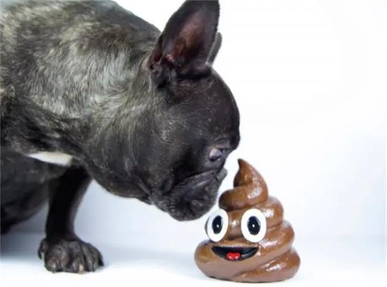 ʺô