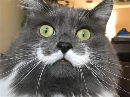 èĺ˻ô