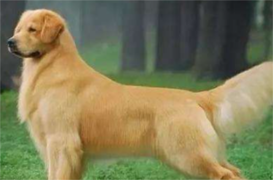 ëʼˣýë