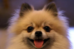 ʺŮ5ֹ