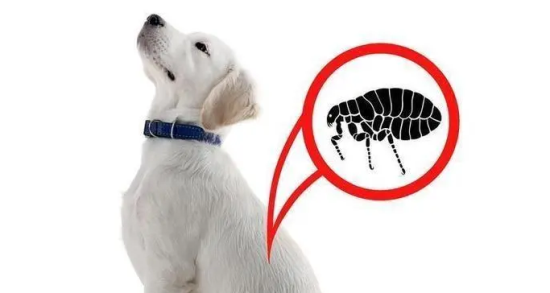 ûм棬Ҫʲôطô