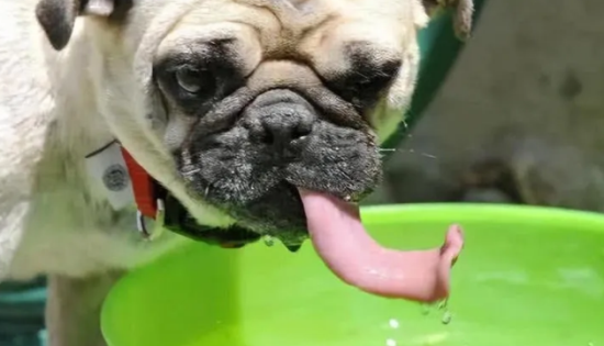 ˮ6ˮԸҲ