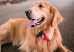 ˳ĽëΪʲôˡӡСȮ