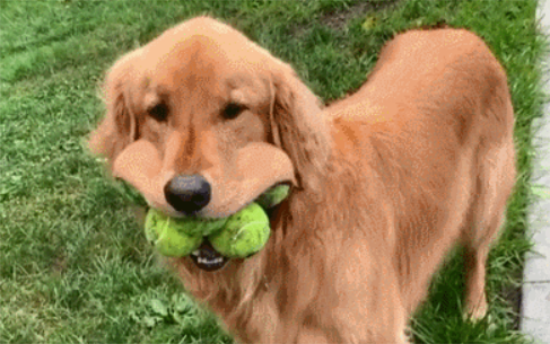 ΪνëԽԽܻӭ˲֪㡱