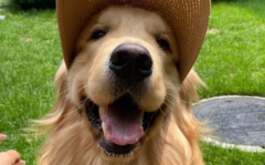 ΪνëԽԽܻӭ˲֪㡱