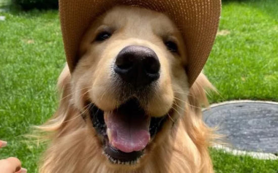 ΪνëԽԽܻӭ˲֪㡱