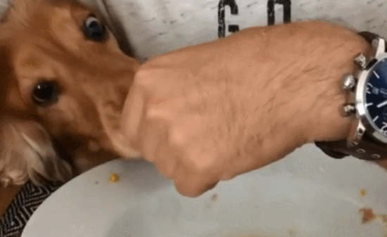 Ϊʲôëôߣѣ⼸̫ʵ