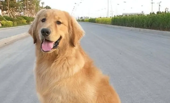 Ϊʲôëôߣѣ⼸̫ʵ