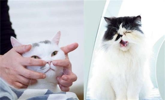 �ٽ�è���ű㰴Ħ�ַ�