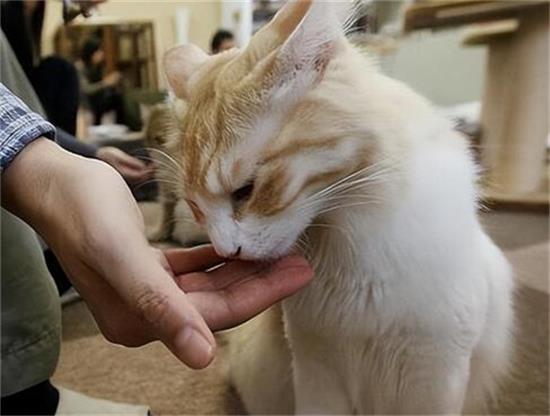 èҲ�����¾���