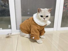 èβʲô˼