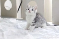 è���ˮǰ��צ���ٵأ�