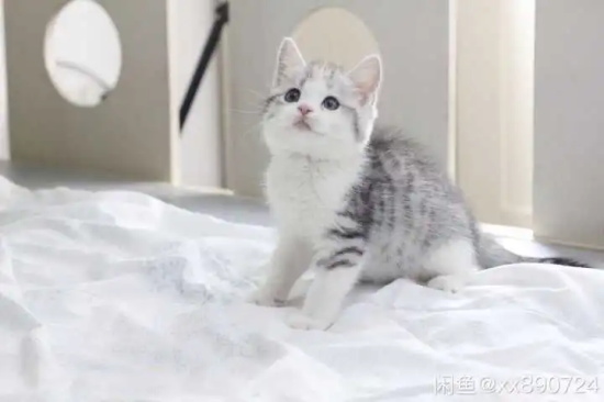 è���ˮǰ��צ���ٵ�