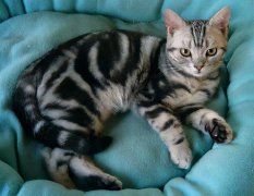 è޺��Ⱦ������ô����