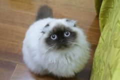 Сè��������ҩ��ô����