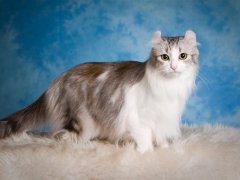 è�Ӷ��ˤ������ˤ��