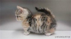 èè�������Ǹ�ð�� èè����������ô����