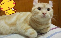 Сèһֱ���������ô����?