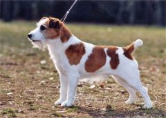 ����ô���Żỳ�У�