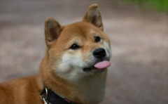 ��������ǰ1Сʱ��ʲô���ף�