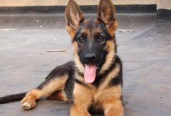 �����ҽ���ô�죿�����ҽ���ô����