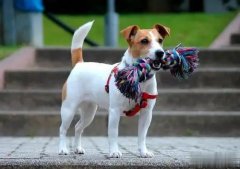 �޹�ʱ��α��ⱻ���������ܣ�