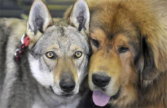 �йع���9����֪ʶ�������˽�һ�£�