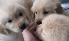 ��ë��Ȯ������ôȡ