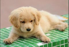 ����һ��Զ��ٺã�