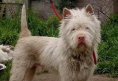 ����ë�������ô�죿