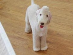 ����������к����ô������