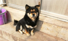 ��Ȯ��α�𴮴�����������