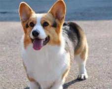 ѵ���������㶨ʱ�ű��ע������