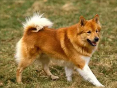 �����г��֢״����Щ��