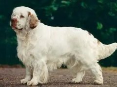 ĸ��ʲôʱ���飿