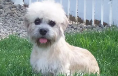 ���ѵ�������������Լ������֣�