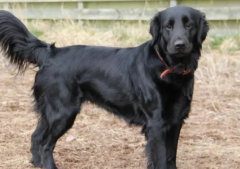 ּЪԵĸɿȺ͸Żô£