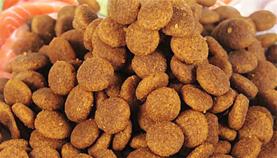 新手如何挑金毛狗犬狗粮呢 新手如何挑金毛狗犬狗粮呢