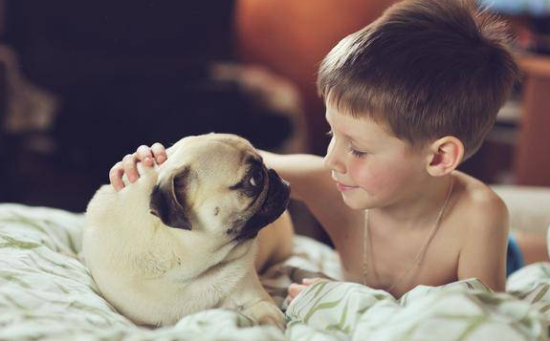 怎么训练狗狗不咬人?